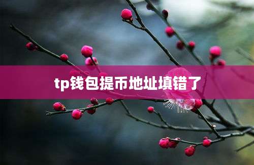 tp钱包提币地址填错了