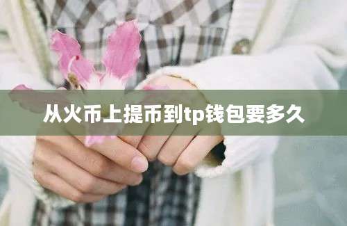 从火币上提币到tp钱包要多久