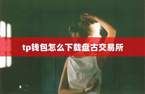 tp钱包怎么下载盘古交易所