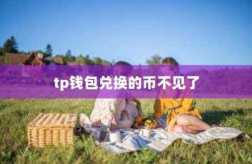 tp钱包兑换的币不见了