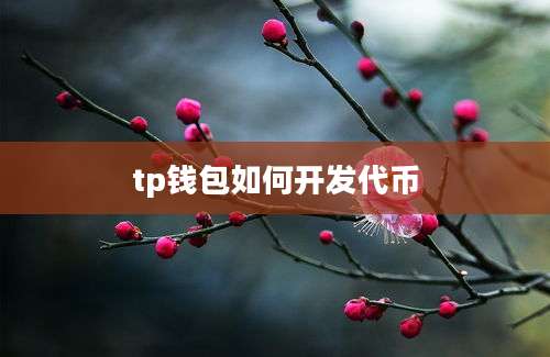 tp钱包如何开发代币