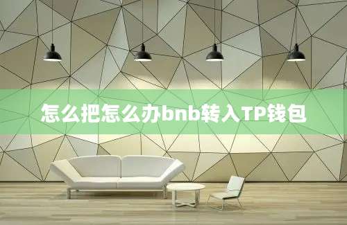 怎么把怎么办bnb转入TP钱包