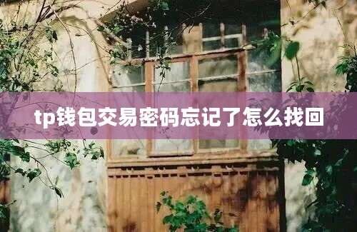 tp钱包交易密码忘记了怎么找回