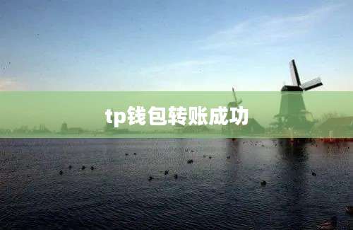 tp钱包转账成功