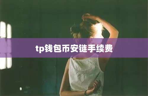 tp钱包币安链手续费