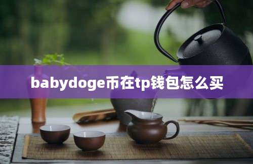 babydoge币在tp钱包怎么买