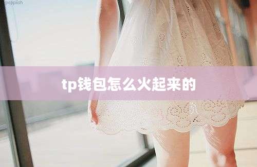 tp钱包怎么火起来的