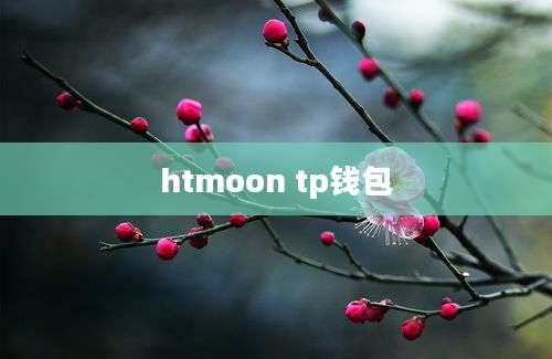 htmoon tp钱包