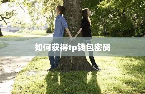 如何获得tp钱包密码