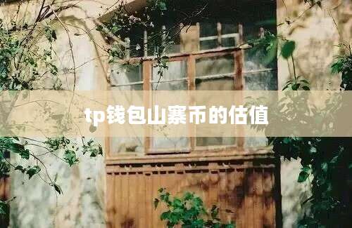 tp钱包山寨币的估值