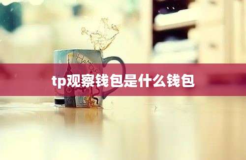 tp观察钱包是什么钱包