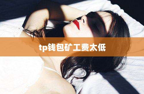 tp钱包矿工费太低