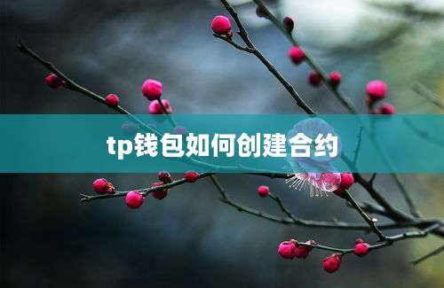 tp钱包如何创建合约
