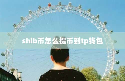 shib币怎么提币到tp钱包