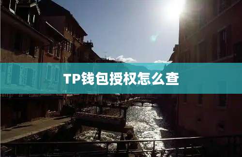 TP钱包授权怎么查