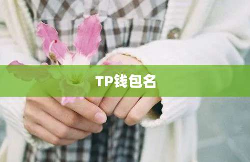 TP钱包名