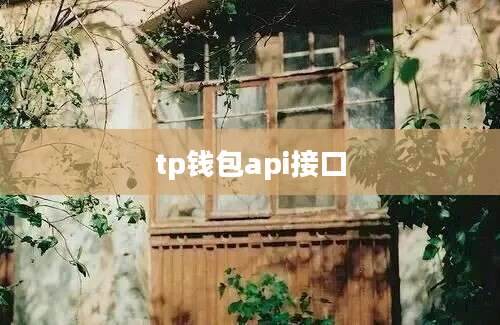 tp钱包api接口