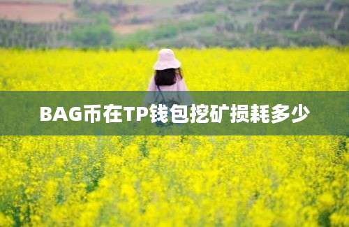 BAG币在TP钱包挖矿损耗多少