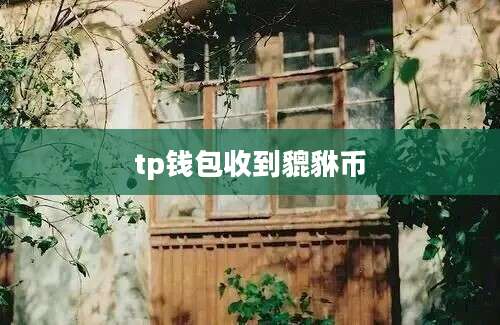 tp钱包收到貔貅币