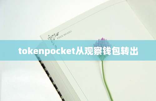 tokenpocket从观察钱包转出