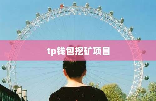 tp钱包挖矿项目