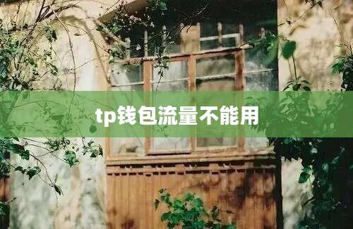 tp钱包流量不能用