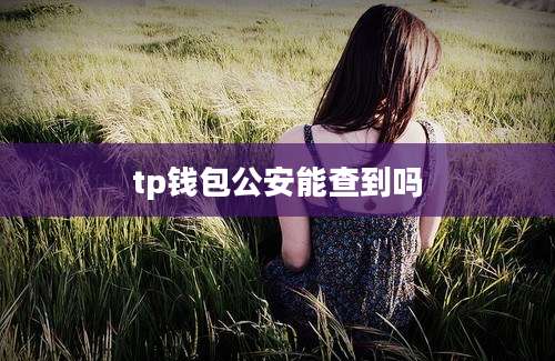 tp钱包公安能查到吗