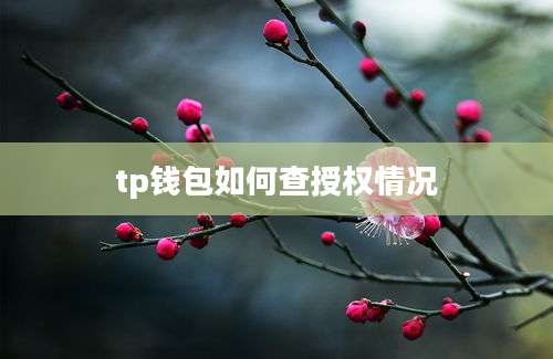 tp钱包如何查授权情况