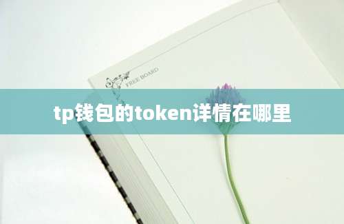 tp钱包的token详情在哪里