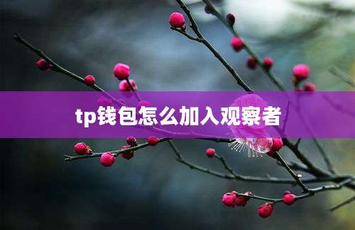 tp钱包怎么加入观察者