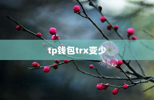 tp钱包trx变少