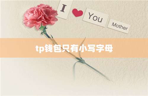 tp钱包只有小写字母