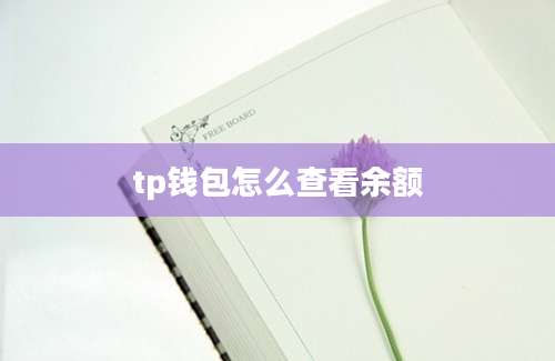 tp钱包怎么查看余额