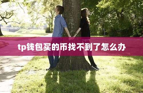 tp钱包买的币找不到了怎么办