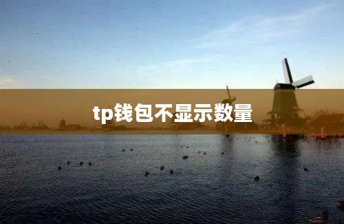 tp钱包不显示数量