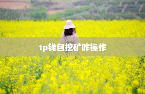 tp钱包挖矿咋操作