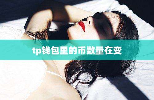 tp钱包里的币数量在变