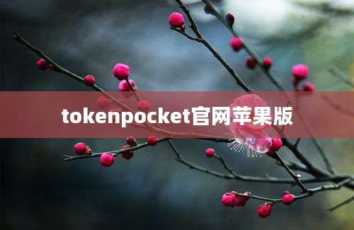 tokenpocket官网苹果版