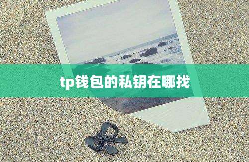 tp钱包的私钥在哪找