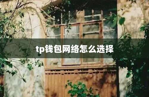 tp钱包网络怎么选择