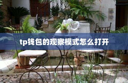 tp钱包的观察模式怎么打开