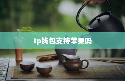 tp钱包支持苹果吗