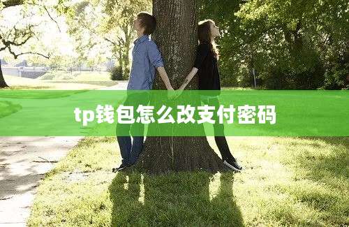 tp钱包怎么改支付密码