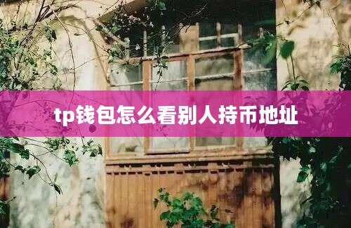 tp钱包怎么看别人持币地址