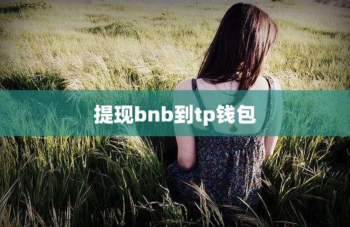 提现bnb到tp钱包