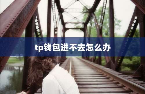 tp钱包进不去怎么办