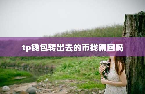 tp钱包转出去的币找得回吗
