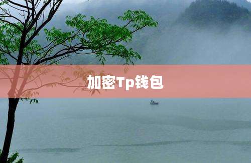 加密Tp钱包