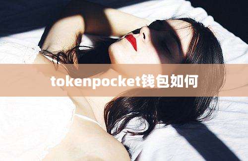 tokenpocket钱包如何