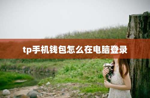 tp手机钱包怎么在电脑登录